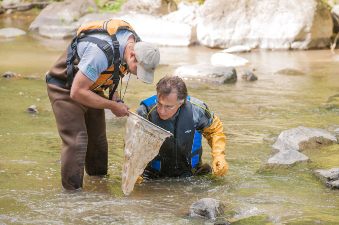 Two men stand in the middle of a river, examining macroinvertebrates in a net.
