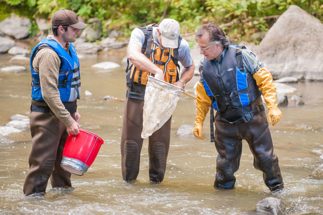 Three men stand in the middle of a river, examining macroinvertebrates in a net.
