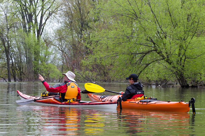 Two men in kayaks on a tree-lined channel
