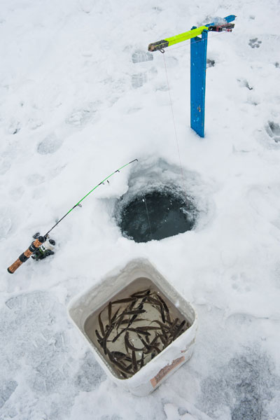 Tip-up next to a hole in the ice and bucket holding live shiners.