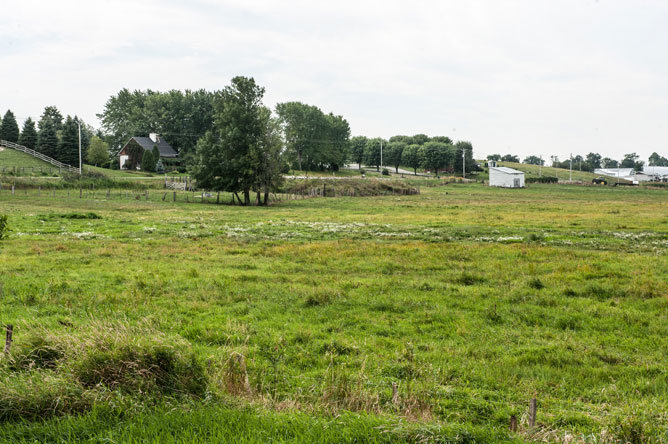 Flowery pasture and farm
