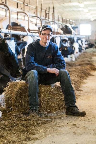 Young farmer seated near his cows on a bale of hay in a stable.