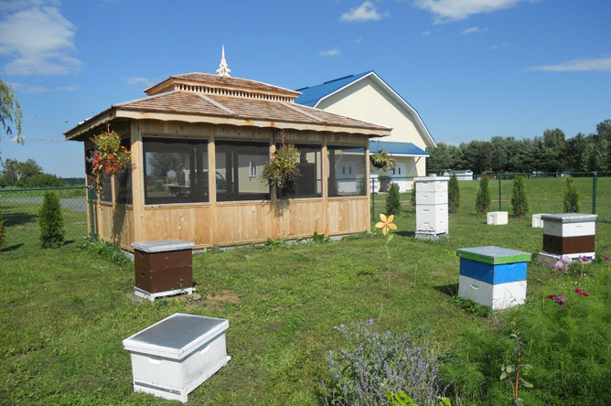 Several hives placed around a gazebo