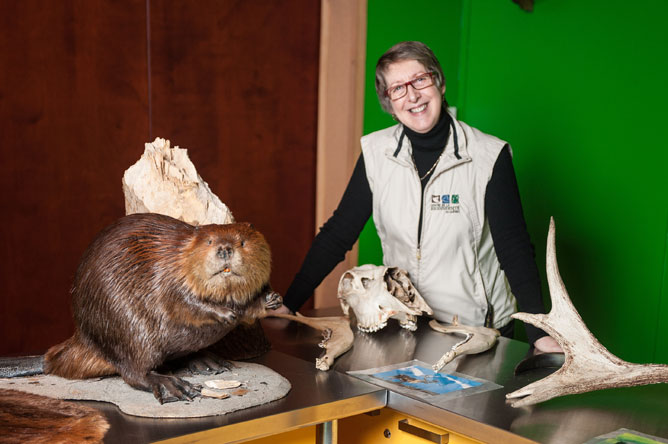 Carole Bellerose, directrice du Centre de la Biodiversité du Québec, montrant un castor naturalisé.