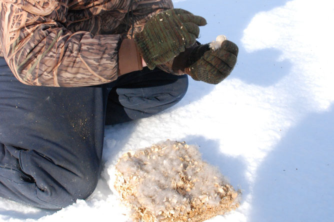 Un homme, accroupi dans la neige, examinant le contenu d'un nichoir à Canard branchu.