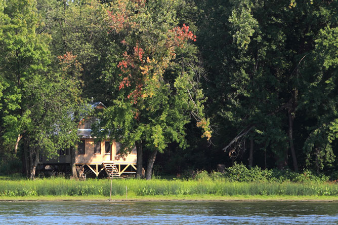Tall trees surround a cabin on an island.