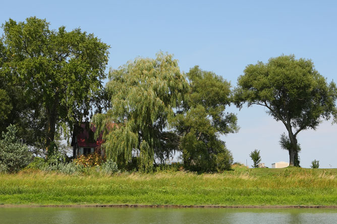 Chalet entouré de grands arbres sur l'Île du Moine