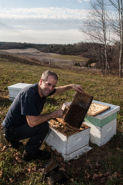 Un apiculteur examinant un cadre recouvert d'abeilles.